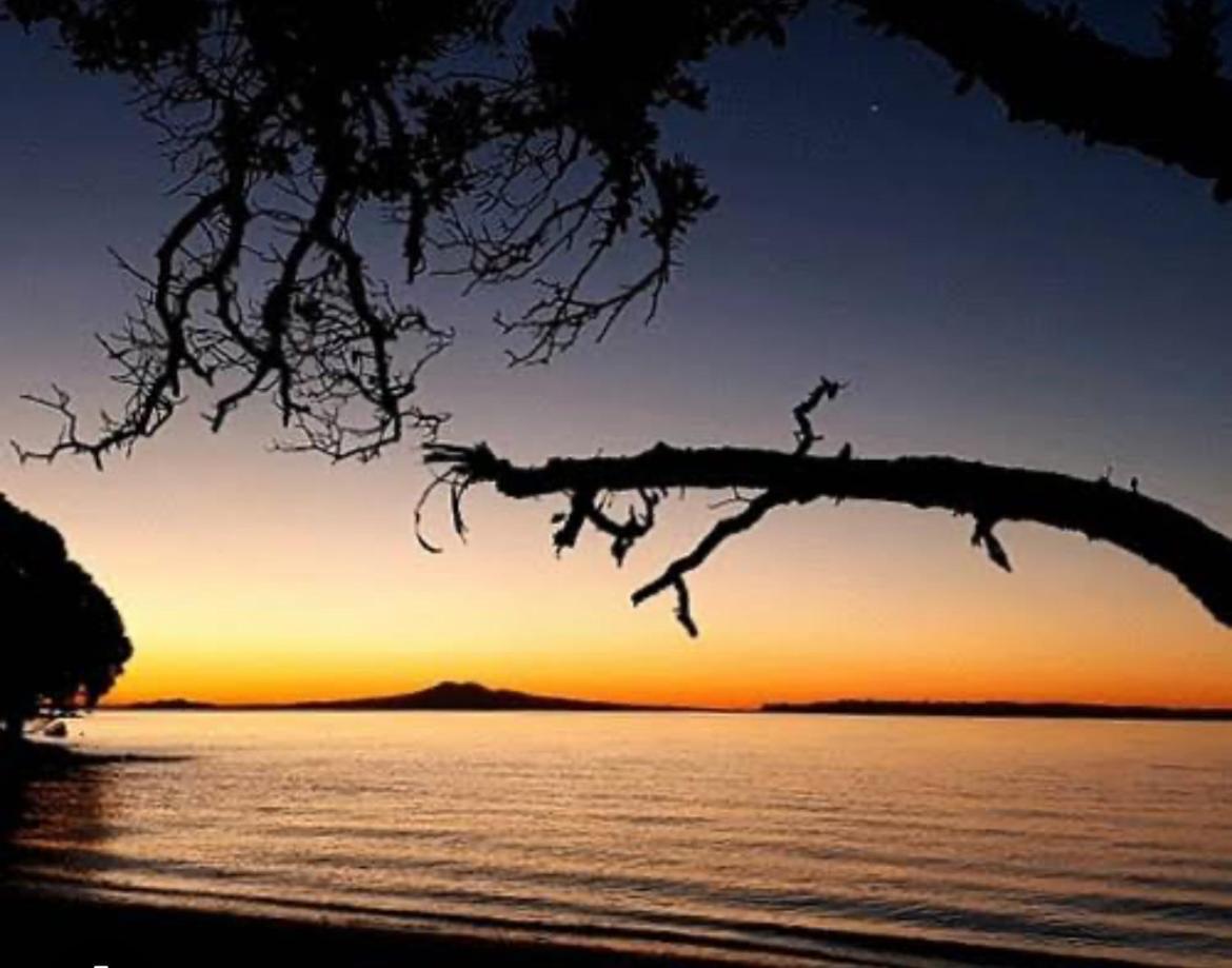 Delightful Little House & Chateau Charme Suite Auckland Dış mekan fotoğraf